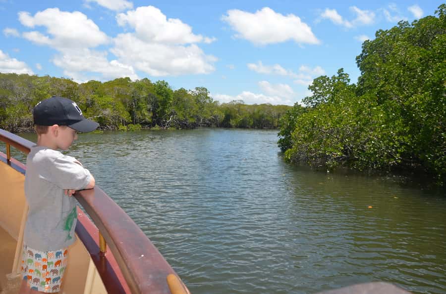 Port Douglas: River Cruise, Crocodile Spotting, Drink/ Snack - Price, flexibility, and the small print