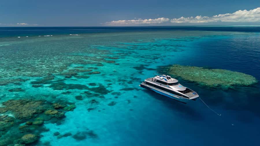 Port Douglas: Silversonic Great Barrier Reef Dive & Snorkel - Key points before you book