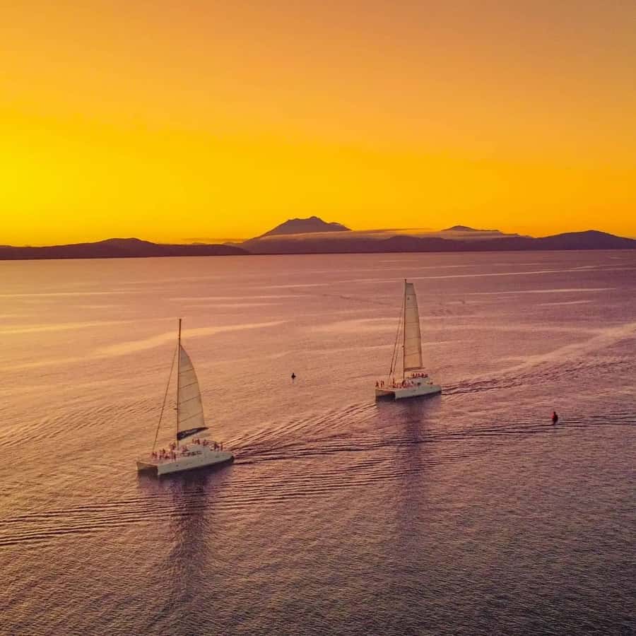 Port Douglas: Sunset Sailing Cruise on Luxury Catamaran - Coral Sea views and the Daintree coastline