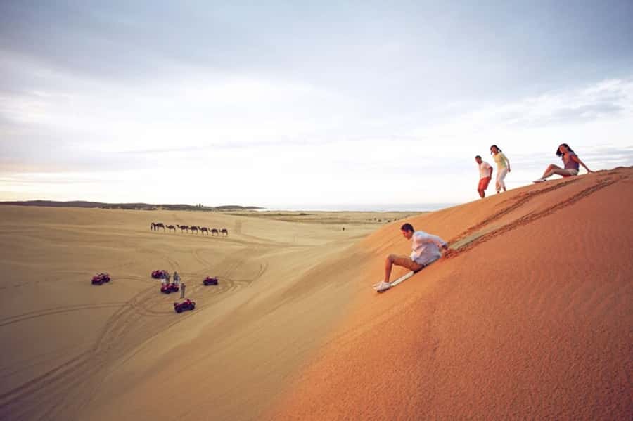 Port Stephens: Dolphin Cruise, Lunch, Koalas & Sandboarding - Nelson Bay and the 90-minute dolphin cruise