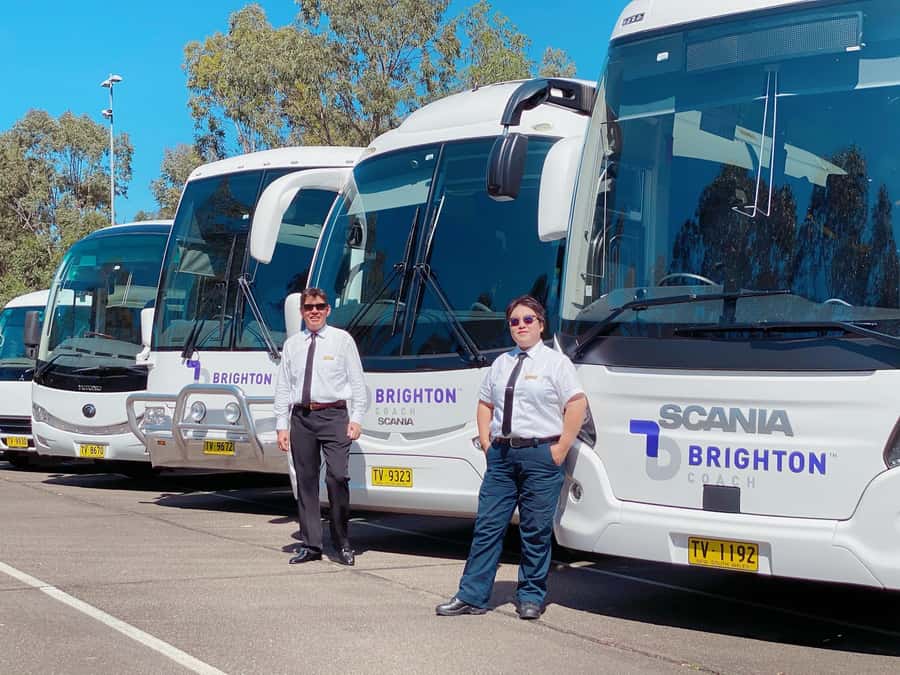 Port Stephens: Dolphin Cruise, Lunch, Koalas & Sandboarding - Sandboarding at Anna Bay and Stockton Beach