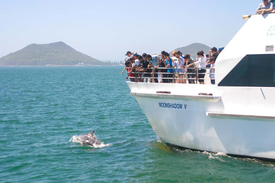 Port Stephens: Dolphin Cruise, Lunch, Koalas & Sandboarding - The early Sydney pickup and long northern drive