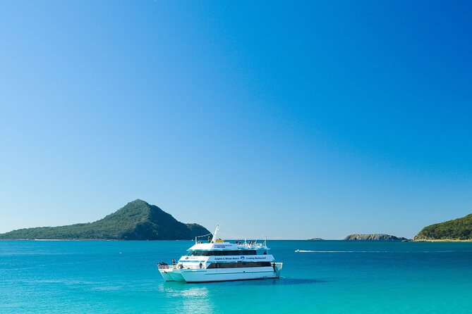 Port Stephens: Dolphin Discovery Cruise - Searching for bottlenose dolphins in Port Stephens