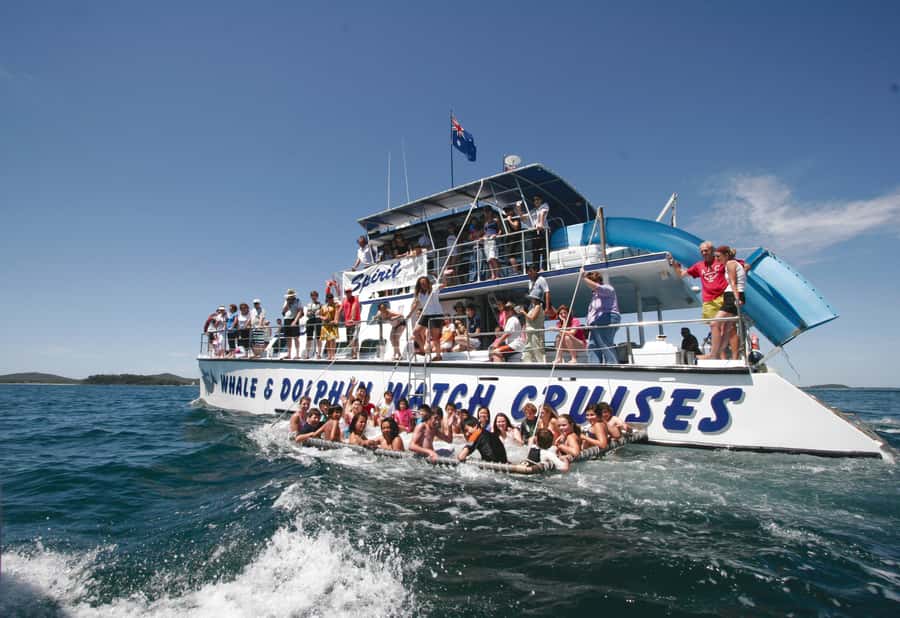 Port Stephens: Dolphin Watch Cruise with Swimming and Slides - Boarding at Wharf 1 in Nelson Bay