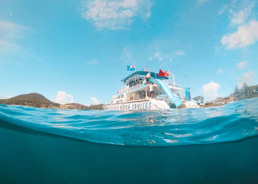 Port Stephens: Dolphin Watch Cruise with Swimming and Slides - Searching for dolphins across Port Stephens Harbour