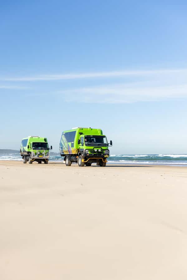 Port Stephens: Unlimited Sandboarding & 4WD Sand Dune Tour - How the staff shape the experience