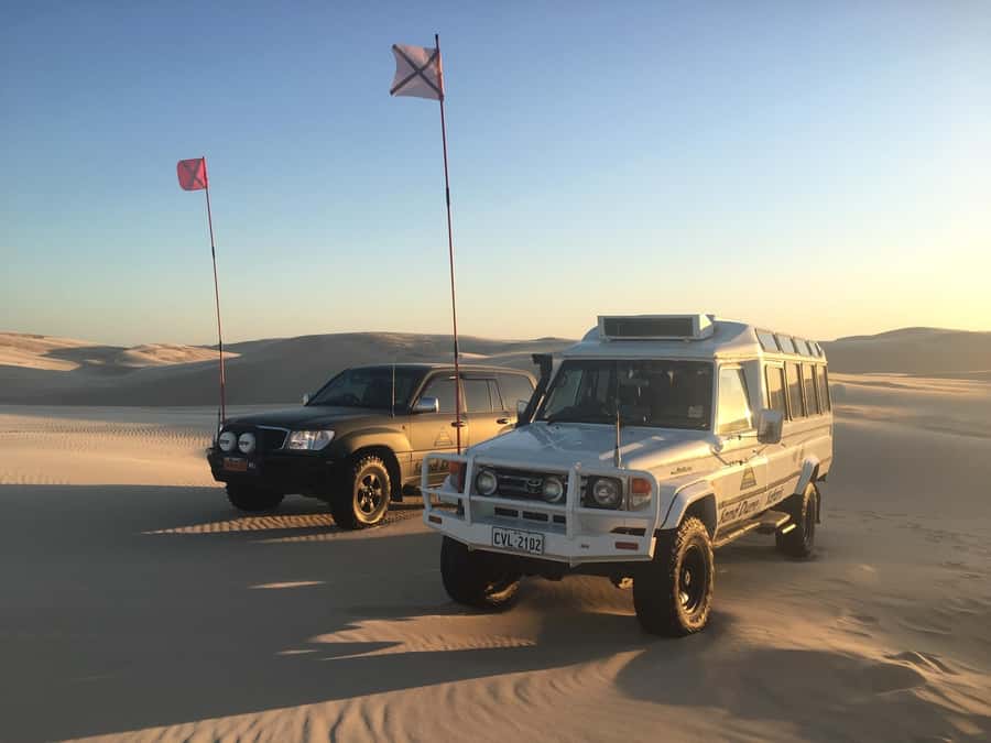 Port Stephens: Unlimited Sandboarding with 4WD Dune Transfer - Stand-up sandboarding takes more effort than it looks