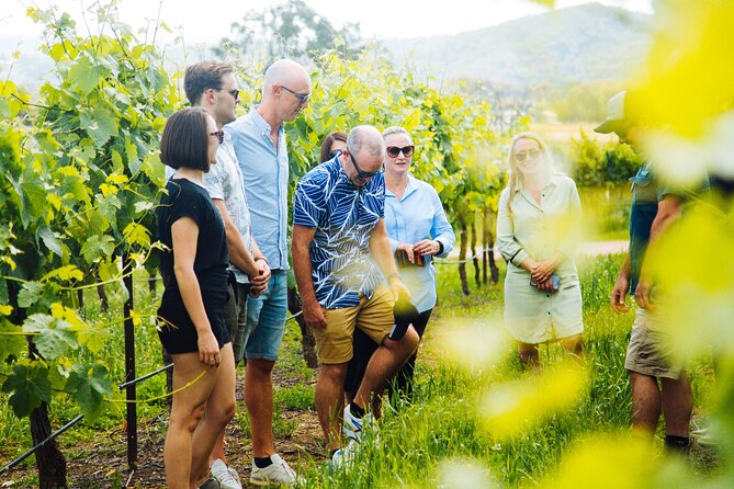 Premium Hunter Valley Wine Tour with Lunch from Sydney - Wine and cheese pairing: a useful taste lesson