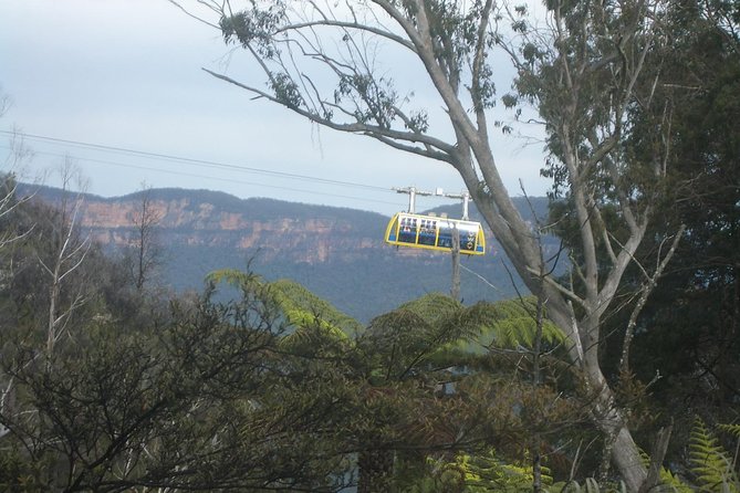 PRIVATE Blue Mountains day tour with local guide. - Why this Blue Mountains day works