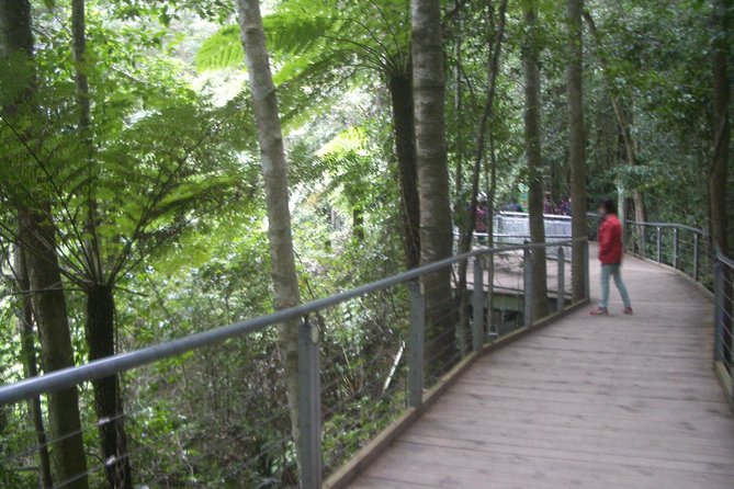 PRIVATE Blue Mountains day tour with local guide. - Featherdale Wildlife Park starts the Australian wildlife lesson