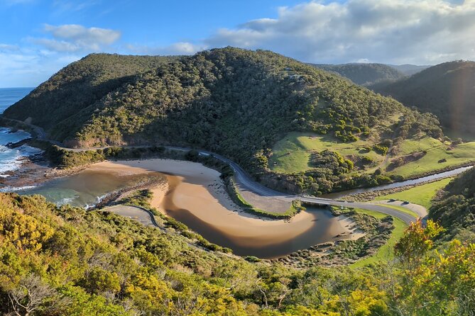 Private Great Ocean Road Tour (overnight option) - Cape Patton and the evening at Apollo Bay