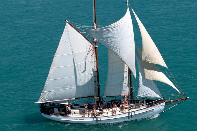 Providence Whitehaven Beach Sailing and Snorkeling Cruise - Key points to know before booking