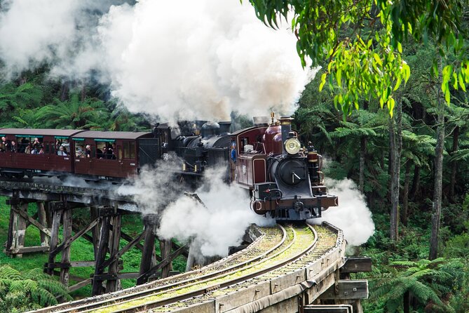 Puffing Billy And Healesville Sanctuary Scenic Tour - Why Puffing Billy makes this day worth it