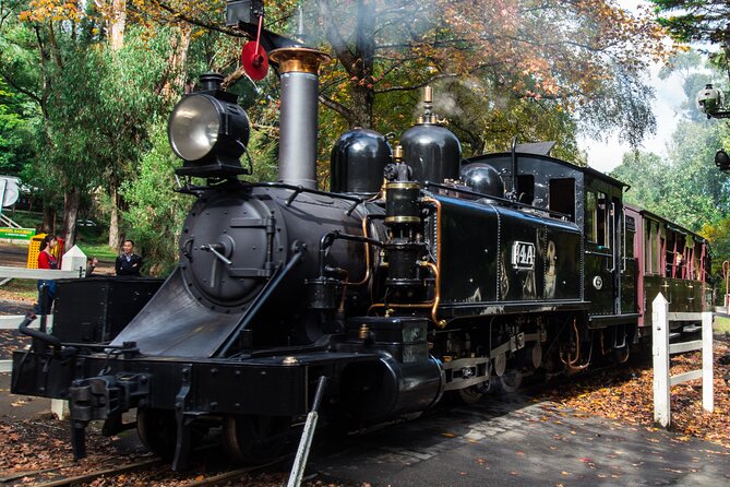 Puffing Billy And Healesville Sanctuary Scenic Tour - Three hours at Healesville Sanctuary