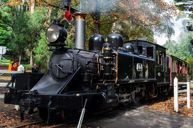 Puffing Billy And Phillip Island Penguin Parade Bus Tour - Why this tour works for seeing Victoria beyond Melbourne