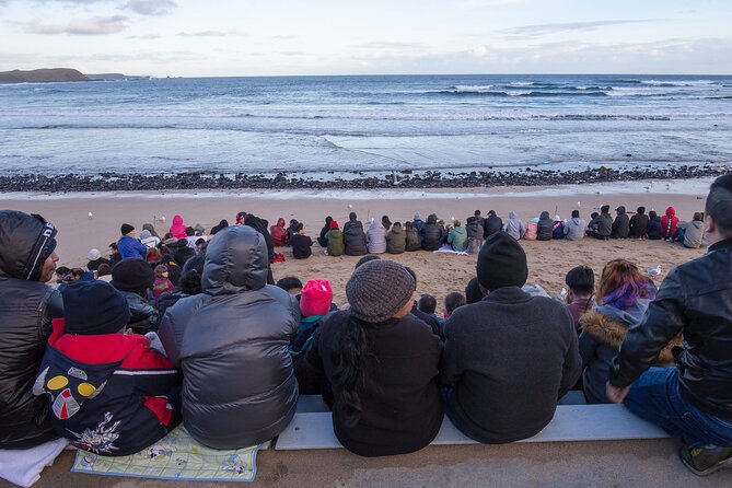 Puffing Billy And Phillip Island Penguin Parade Bus Tour - Guides can make or break this 11-hour day