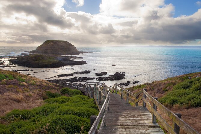 Puffing Billy And Phillip Island Penguin Parade Bus Tour - Who should book this Phillip Island day trip?