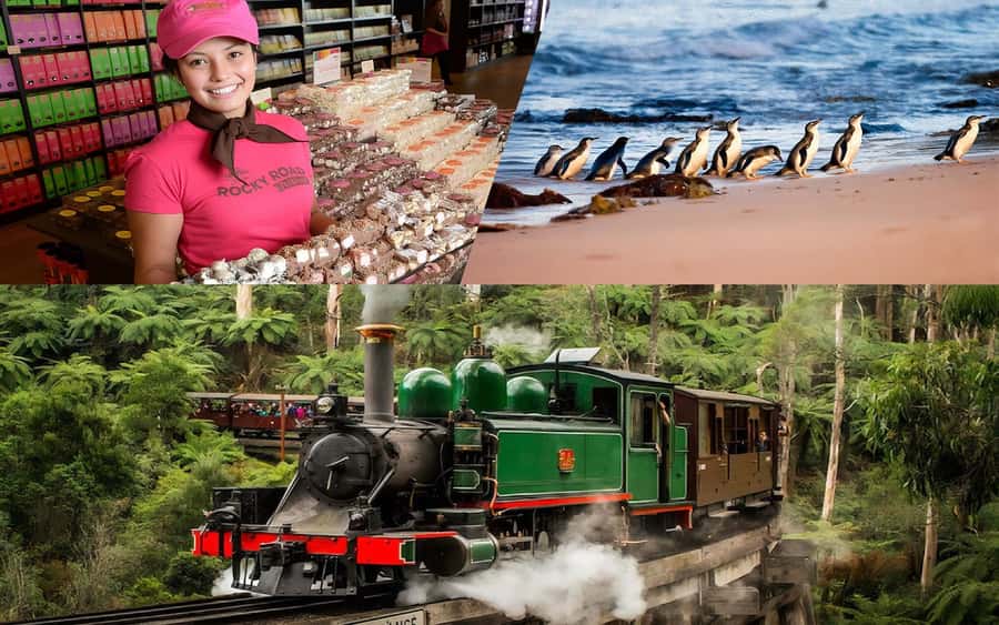 Puffing Billy Penguin Parade Winery Chocolaterie All-in-One - The best parts of the day at a glance