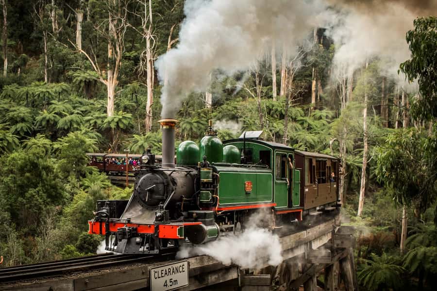 Puffing Billy Penguin Parade Winery Chocolaterie All-in-One - Why this tour works for a first Melbourne trip