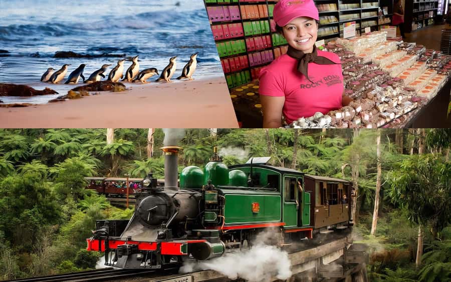 Puffing Billy Penguin Parade Winery Chocolaterie All-in-One - Chocolate, ice cream and an easy family stop