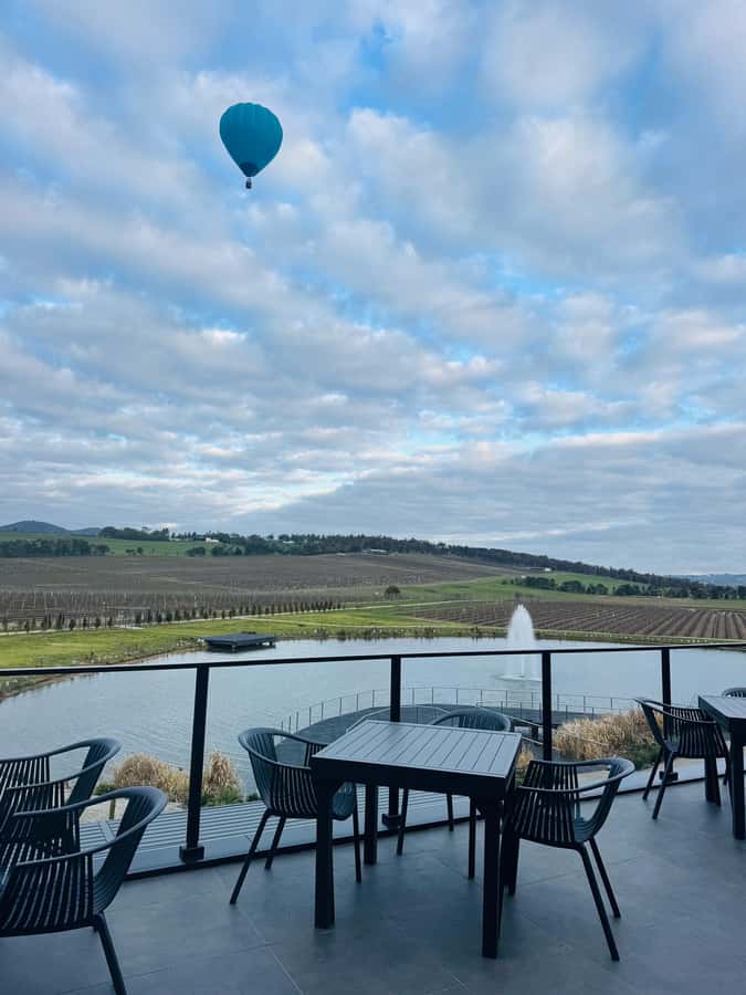 Puffing Billy Penguin Parade Winery Chocolaterie All-in-One - Who should book this full-day outing?