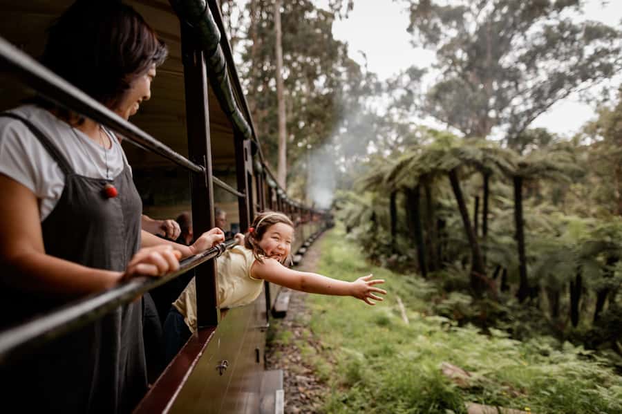 Puffing Billy Railway: Heritage Steam Train Journey - Why Puffing Billy feels different from a normal train ride