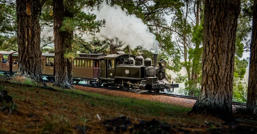 Puffing Billy Railway: Heritage Steam Train Journey - Lakeside brings the scenery into focus