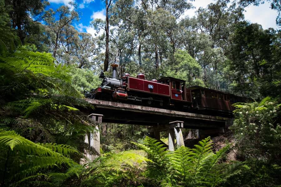 Puffing Billy Railway: Heritage Steam Train Journey - Who will enjoy Puffing Billy most?