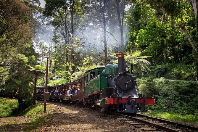 Puffing Billy Steam Train Experience - Puffing Billy plus Penguin Parade options