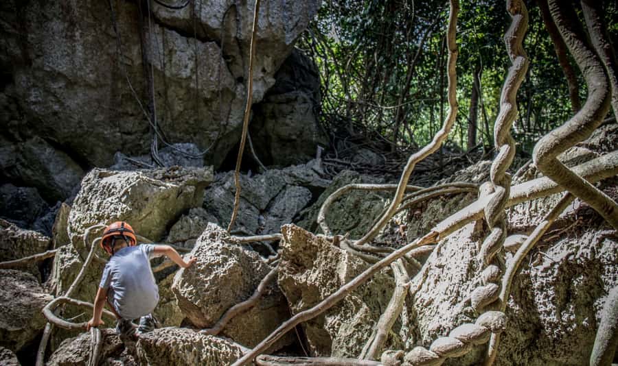 Queensland: 90 Minute Capricorn Caves Explorer Tour - Key points about the Capricorn Caves Explorer Tour