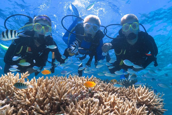 Quicksilver Great Barrier Reef Snorkel Cruise from Port Douglas - Optional activities: scuba, Ocean Walker, and helicopter views