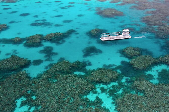 Quicksilver Great Barrier Reef Snorkel Cruise from Port Douglas - Who will enjoy this Port Douglas cruise?