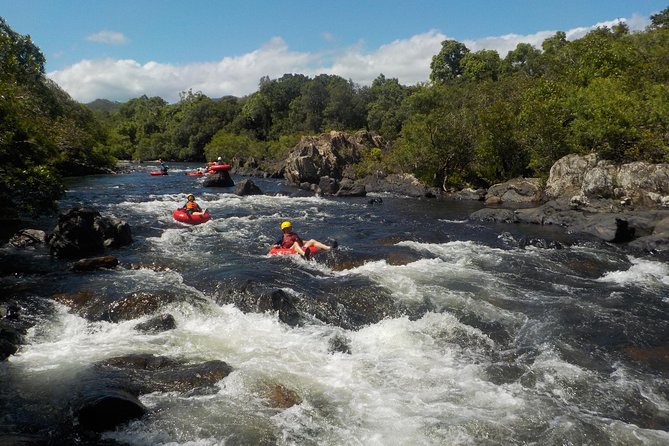 Rainforest River Tubing from Cairns - Why water level matters so much