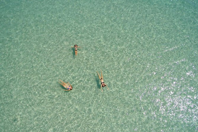 Remote Fraser Island Experience - Key Things to Know Before You Go