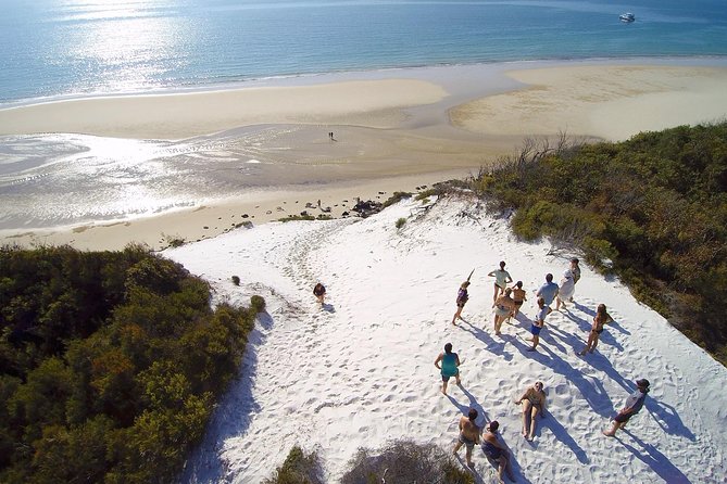 Remote Fraser Island Experience - Wildlife and Whale Watching Expectations