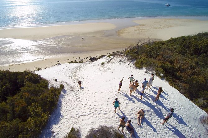 Remote K'gari (Fraser Island) & Whale Experience - Key Things to Know Before You Go