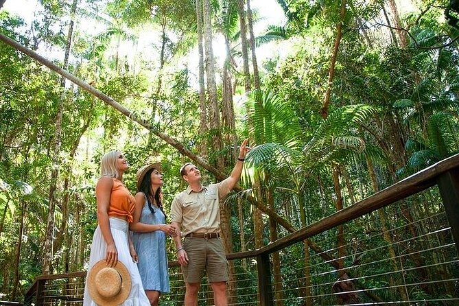 Remote K'gari (Fraser Island) & Whale Experience - Kayaking Through the Mangroves
