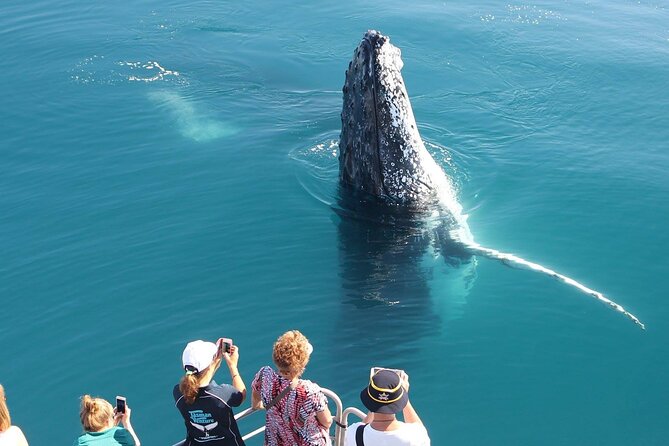 Remote K'gari (Fraser Island) & Whale Experience - Walking, Sand Dunes, and Remote Views