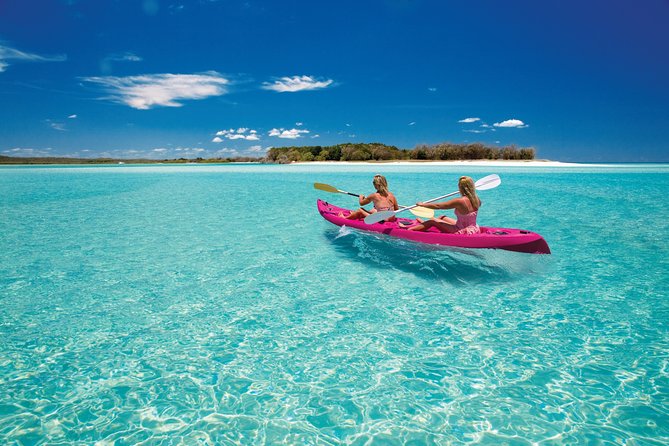 Remote K'gari (Fraser Island) & Whale Experience - The Possibility of Swimming Near Whales