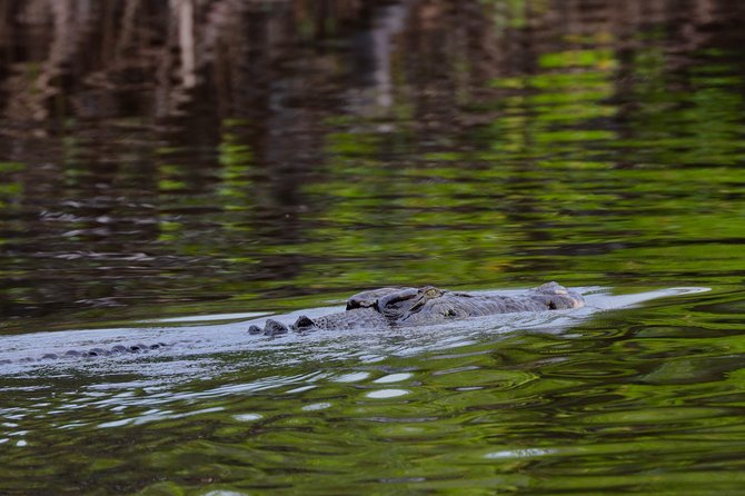 River Cruise - Why families tend to like it