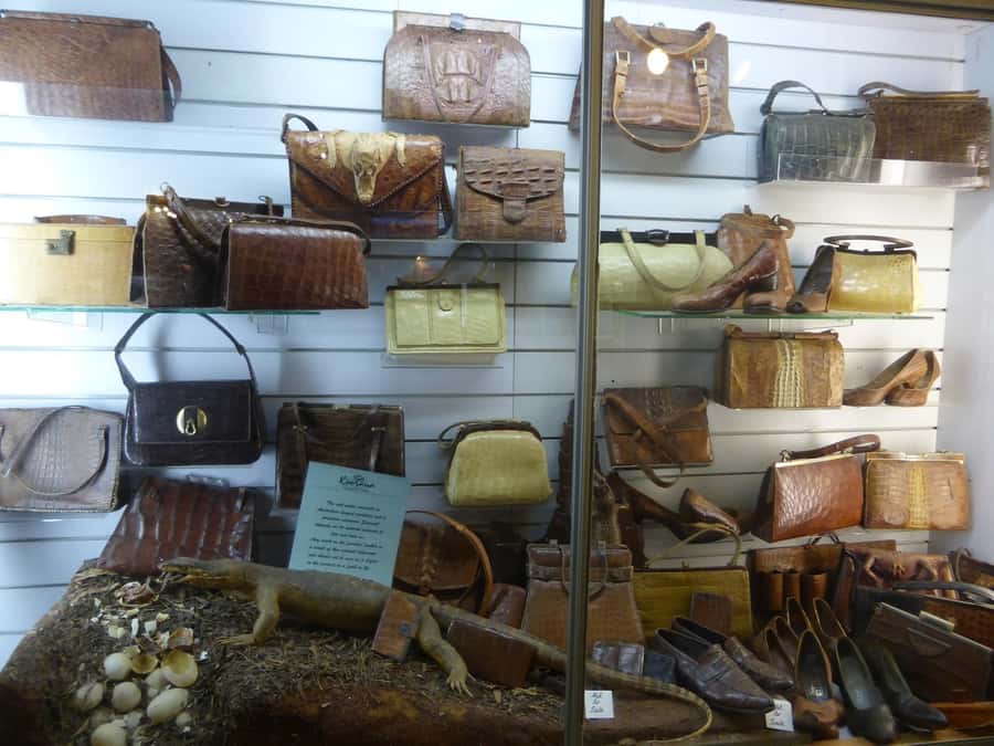 Rockhampton: Koorana Crocodile Farm Guided Tour - Key points to know before you go