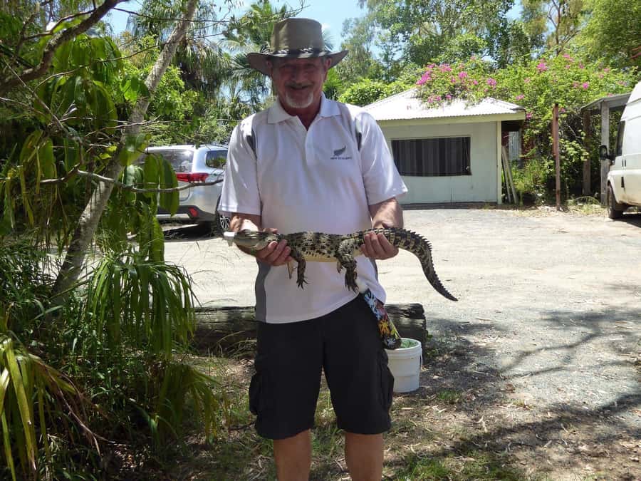 Rockhampton: Koorana Crocodile Farm Guided Tour - How much value does the $28 price offer?