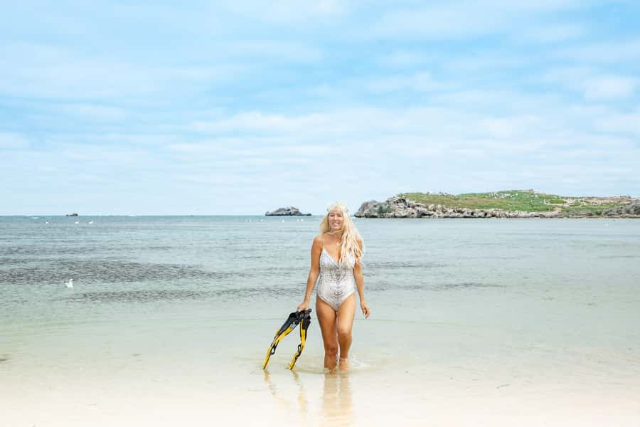 Rockingham: Shoalwater Islands, Dolphins, and Sea Lions Tour - Bird Island and the coastal birdlife