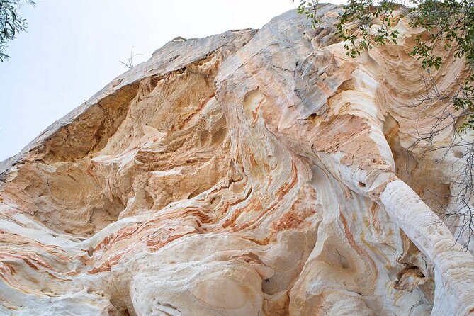 Roma: Lost World Carnarvons (Wallaroo) Day Tour - What the guiding adds to the scenery