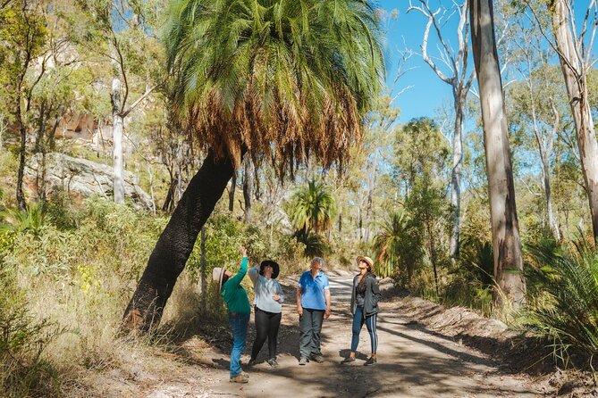 Roma: Lost World Carnarvons (Wallaroo) Day Tour - The morning drive from Roma to Wallaroo
