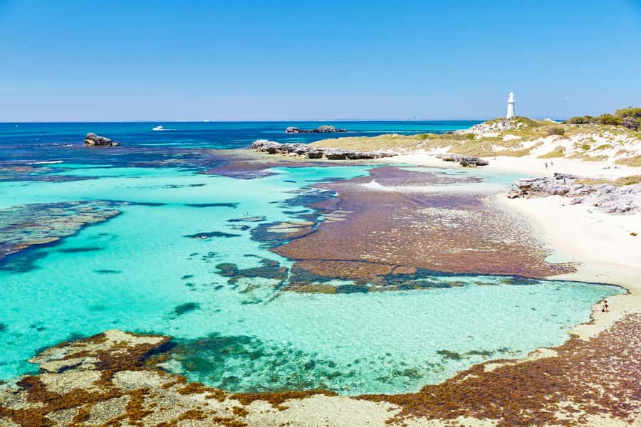 Rottnest Grand Island Package with Ferry, Tour & Light Lunch - Key points at a glance