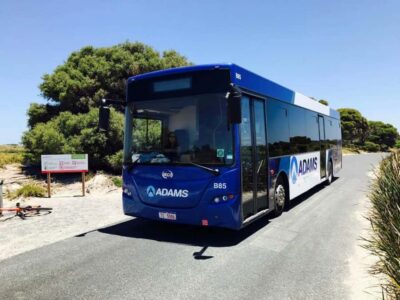 Rottnest Grand Island Package with Ferry, Tour & Light Lunch