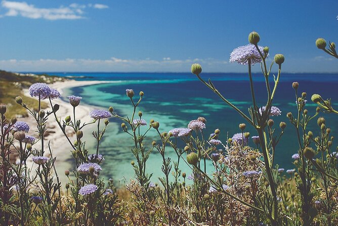 Rottnest Island Full-Day Trip With Guided Island Tour From Perth - Key points to know before booking