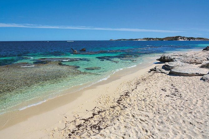 Rottnest Island Tandem Skydive - Five minutes under the parachute and a beach finish
