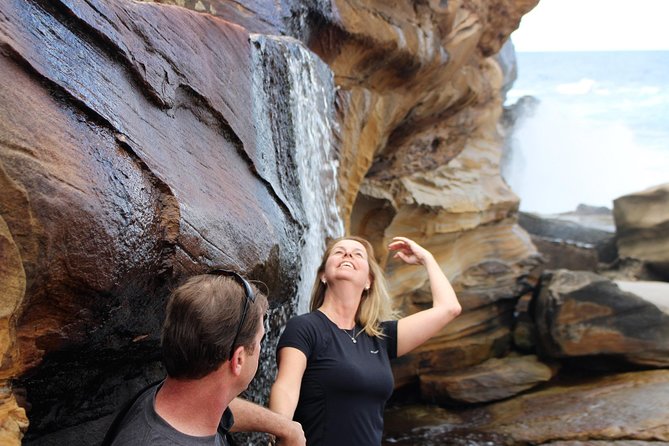 Royal National Park Private Tour - Why this tour works better than a standard day trip